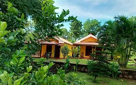 Amazon Cabanas