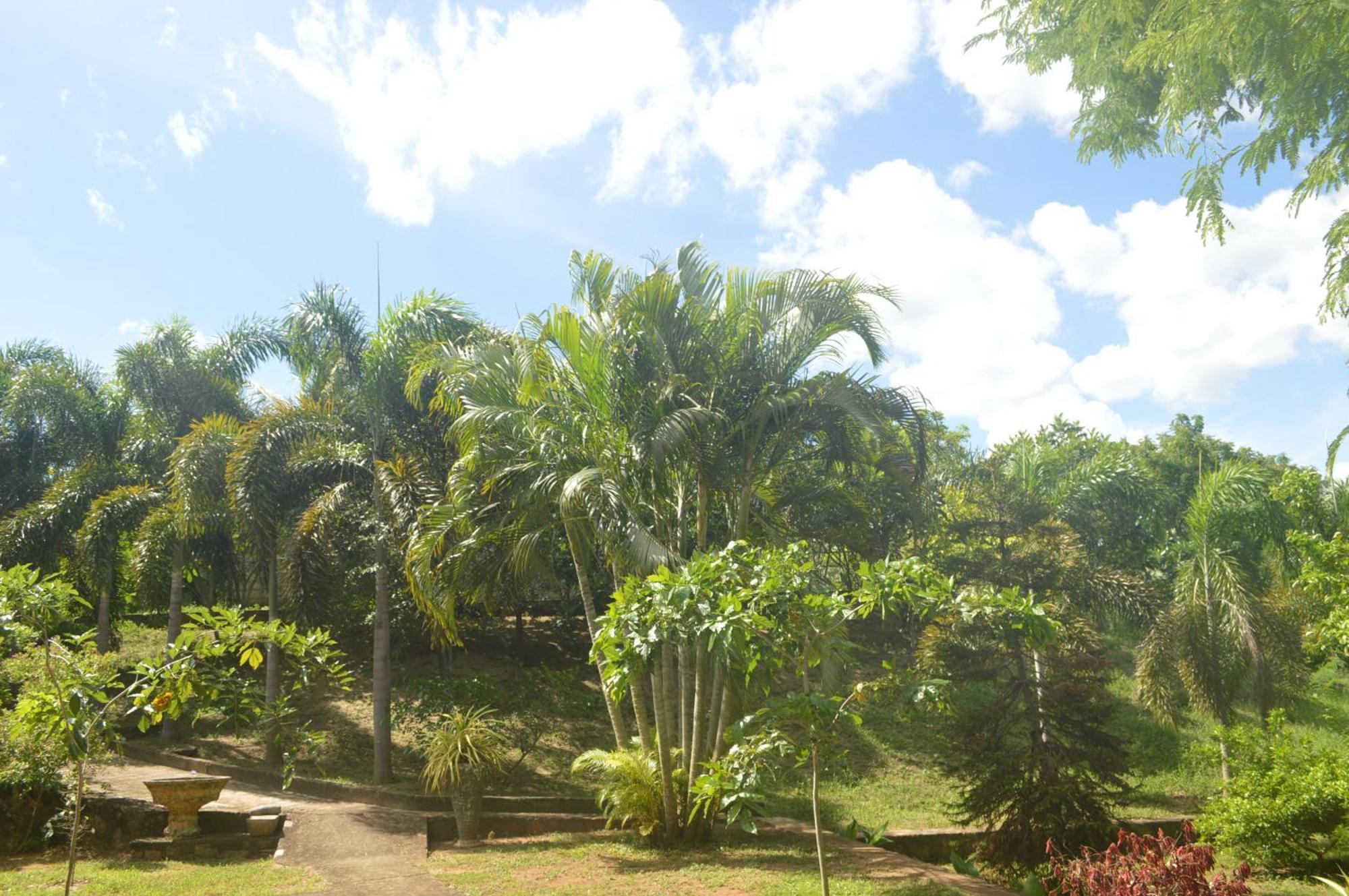 Amazon Cabanas Tissamaharama Extérieur photo