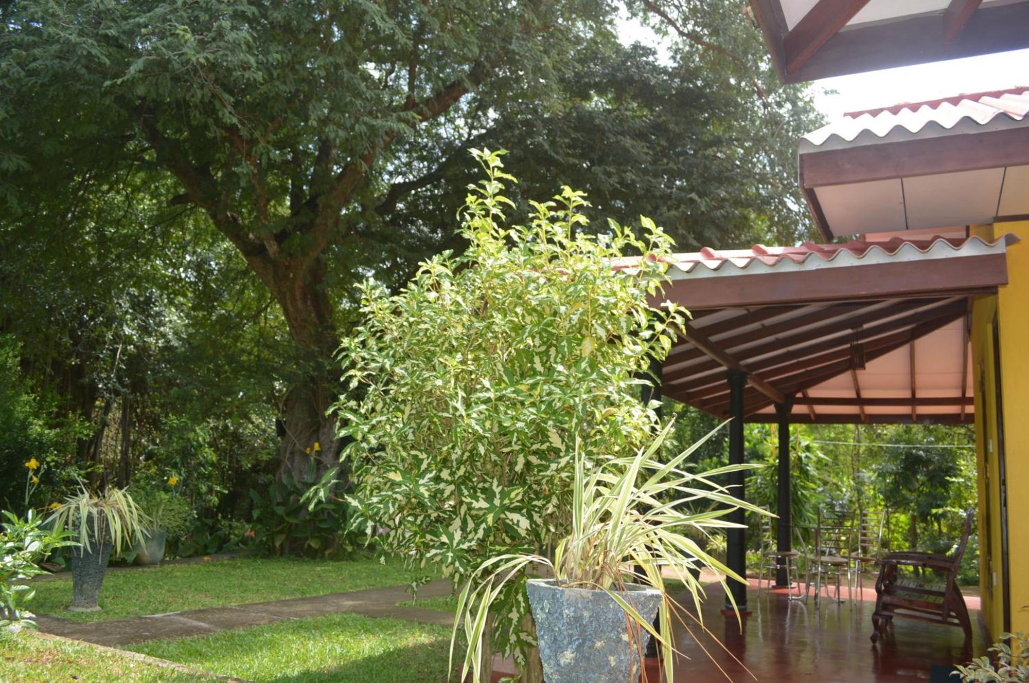 Amazon Cabanas Tissamaharama Extérieur photo