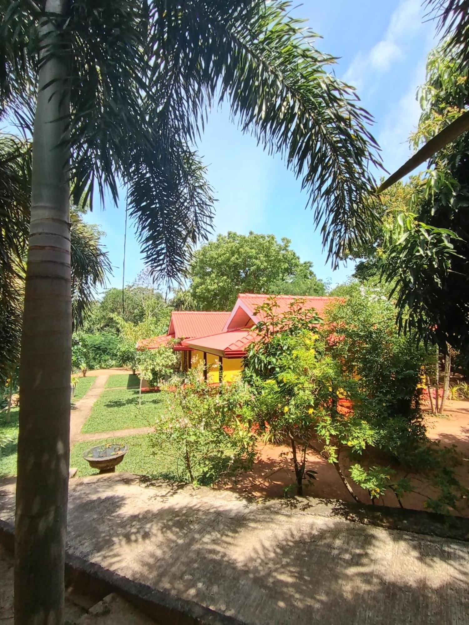 Amazon Cabanas Tissamaharama Extérieur photo
