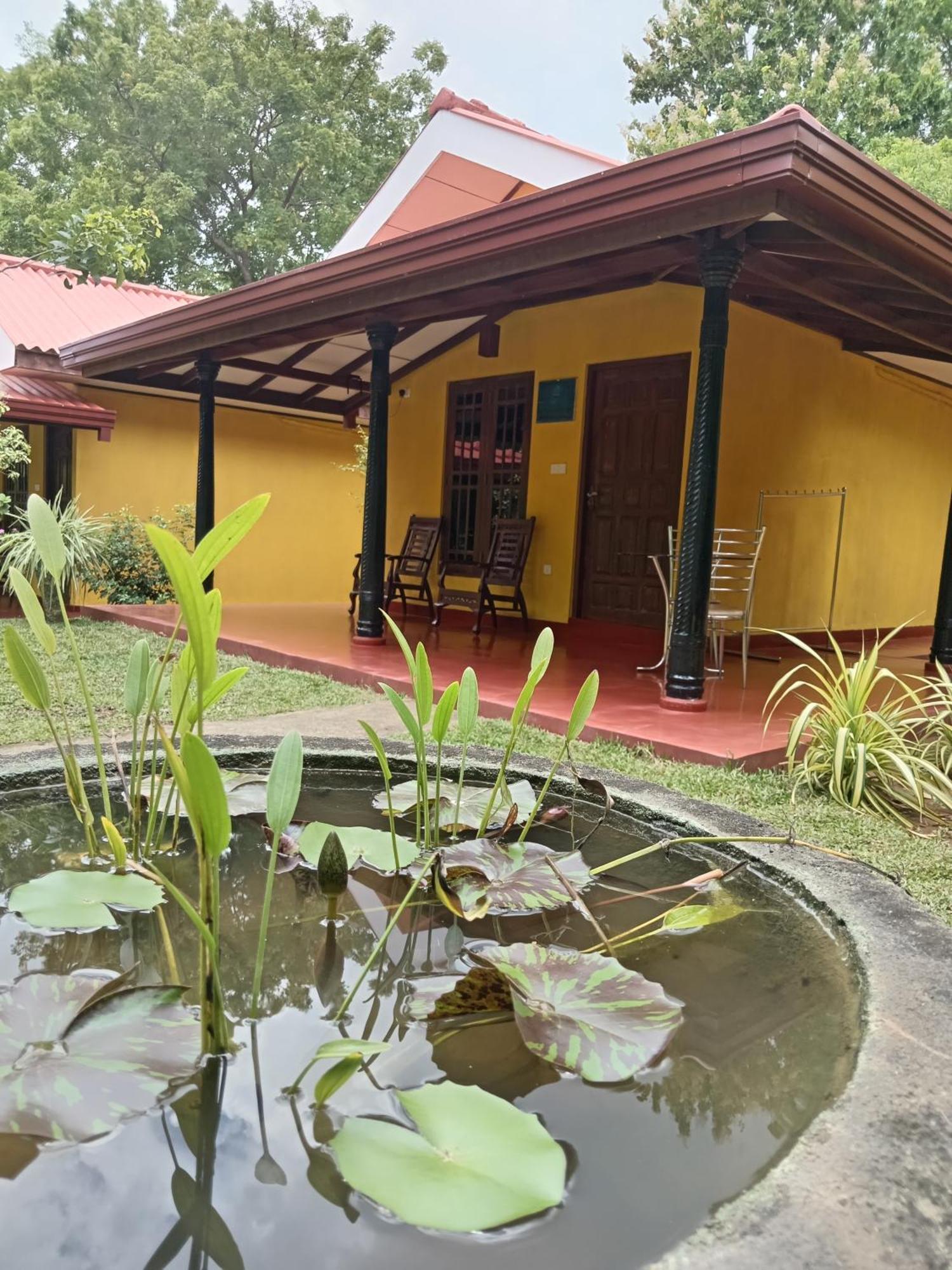 Amazon Cabanas Tissamaharama Extérieur photo
