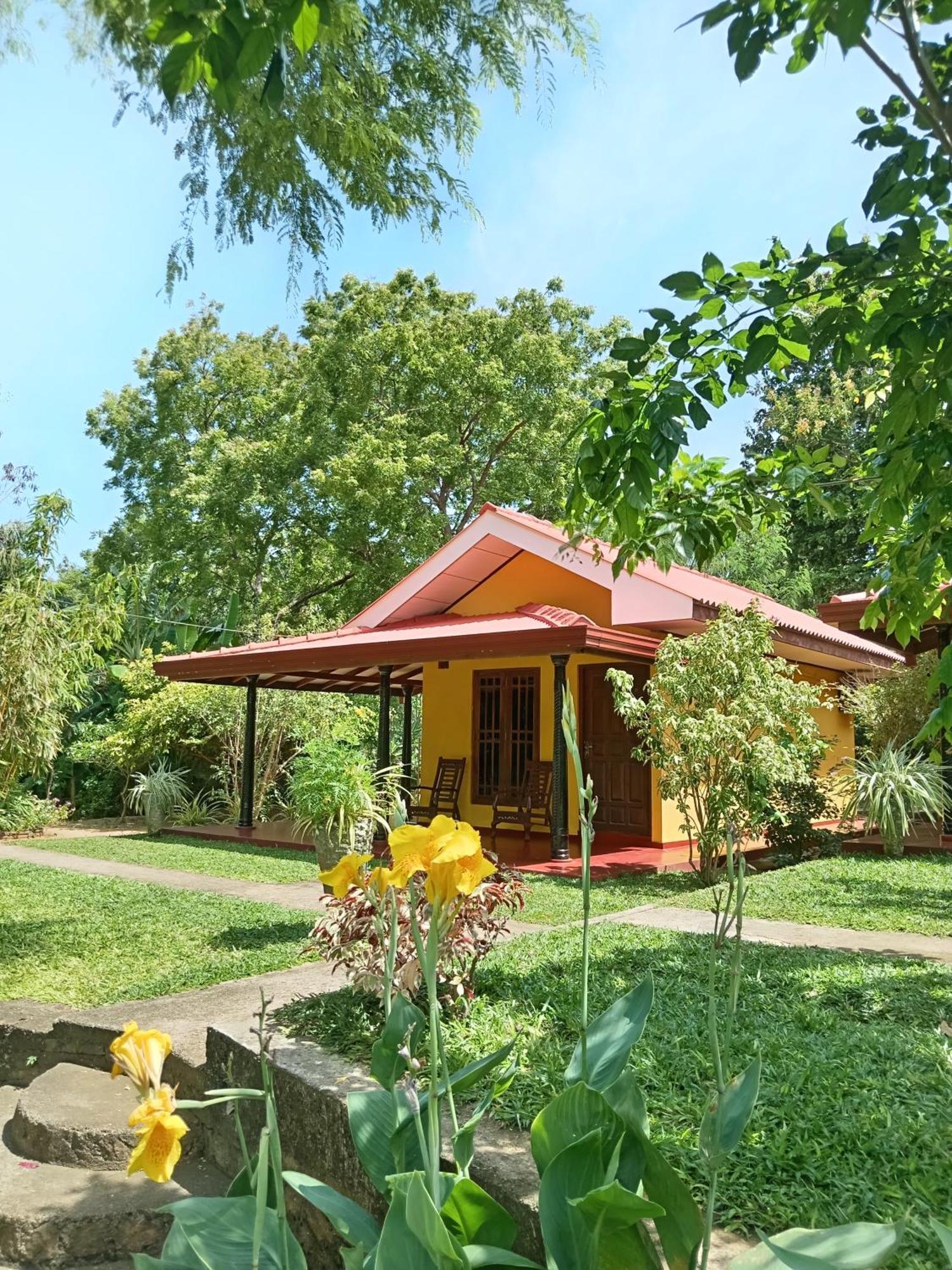 Amazon Cabanas Tissamaharama Extérieur photo