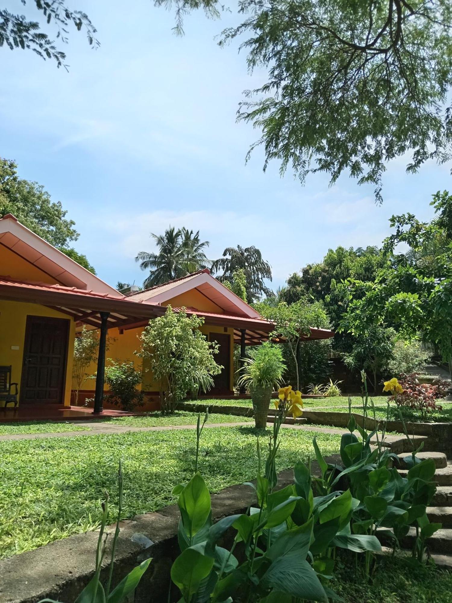 Amazon Cabanas Tissamaharama Extérieur photo