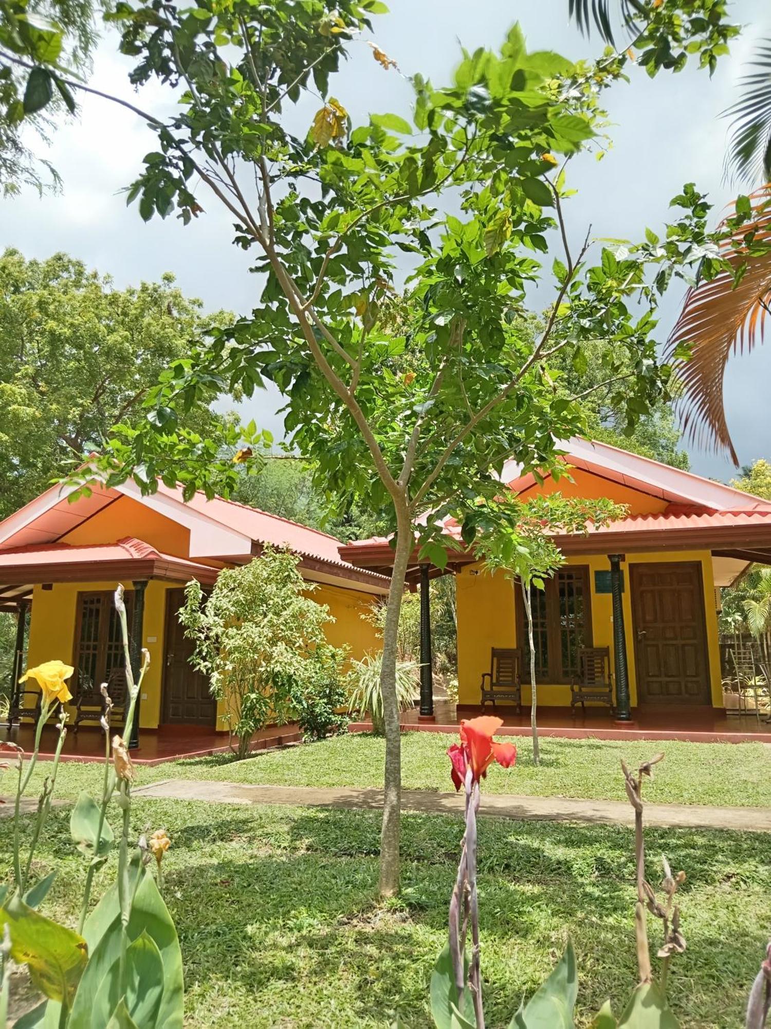 Amazon Cabanas Tissamaharama Extérieur photo
