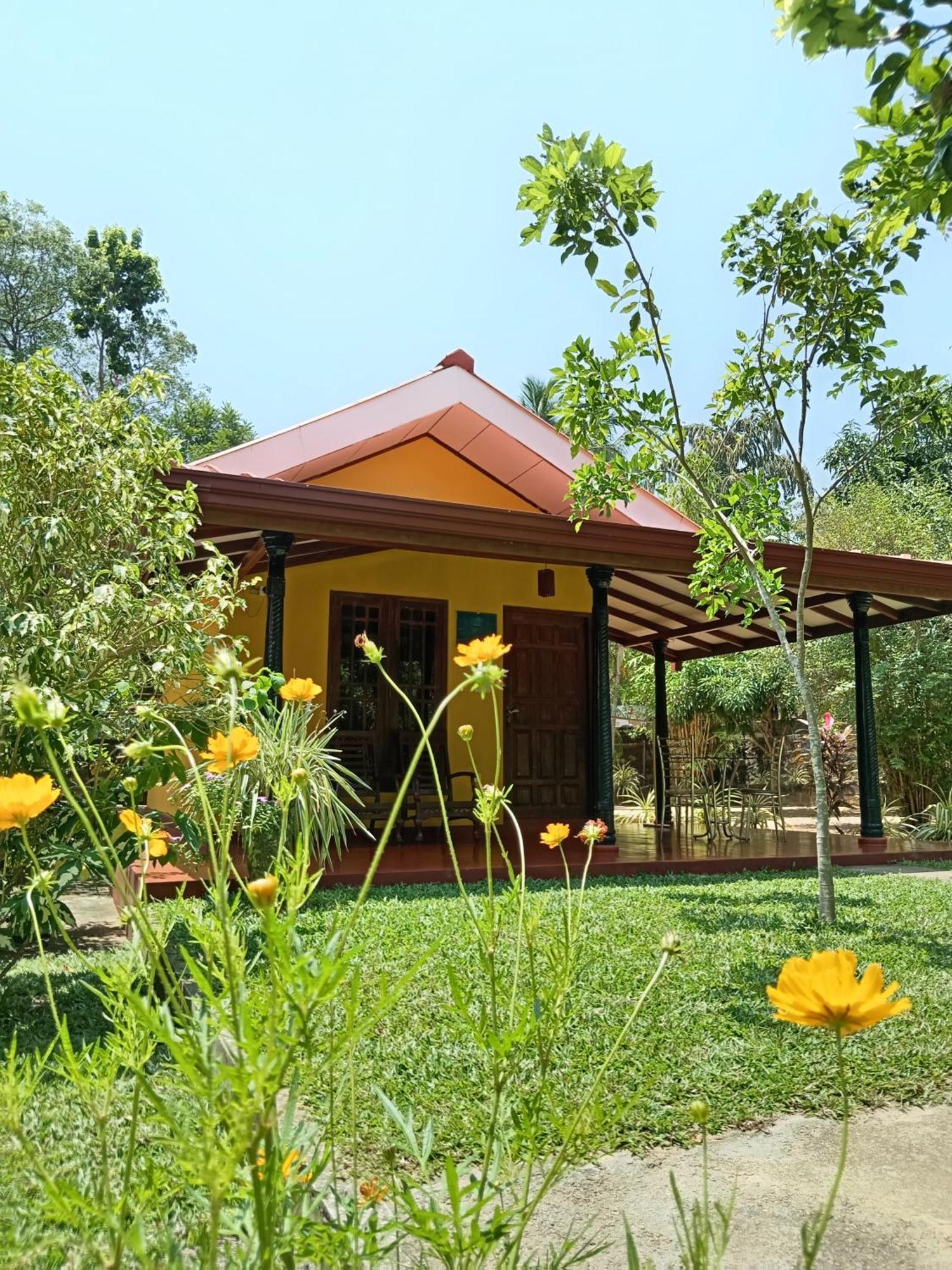 Amazon Cabanas Tissamaharama Extérieur photo