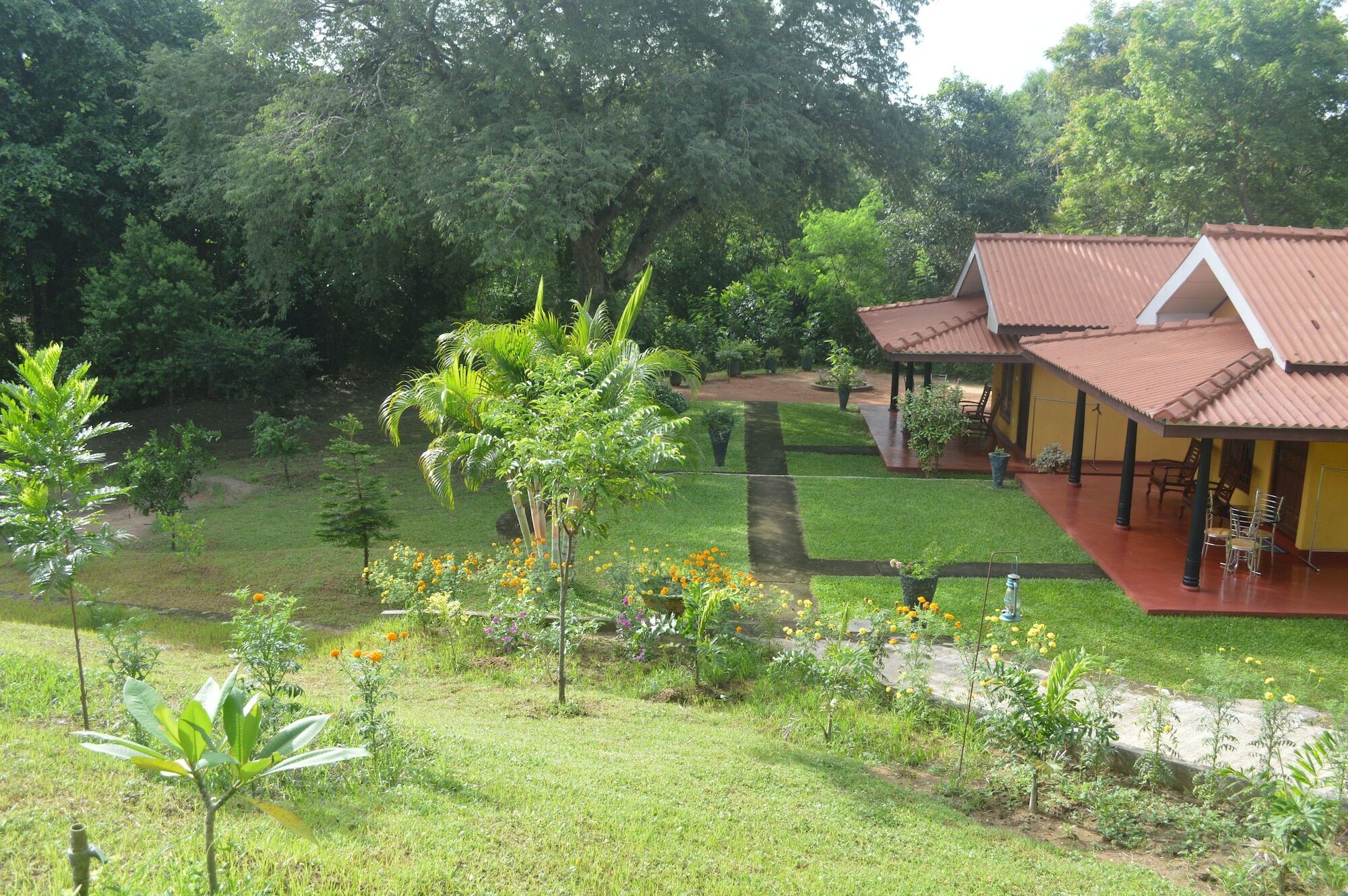 Amazon Cabanas Tissamaharama Extérieur photo